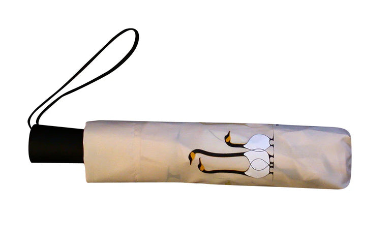 Umbrella – Friends